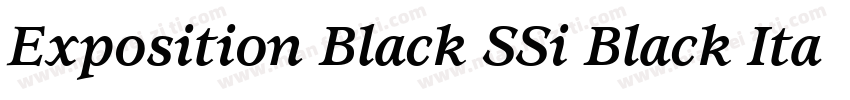 Exposition Black SSi Black Italic字体转换
